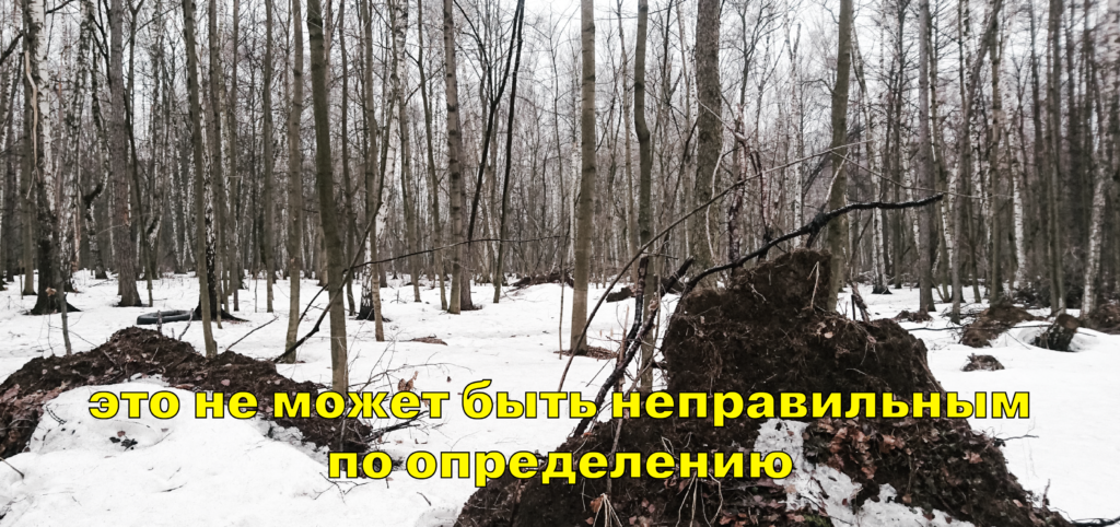 Terra Nullius. Сомнение. цим, dozado