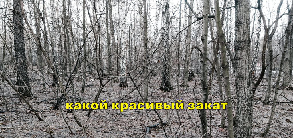 Terra Nullius. Сомнение. цим, dozado