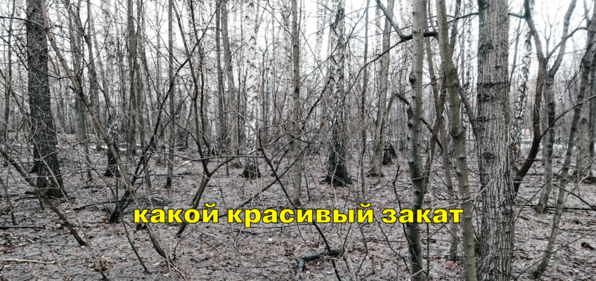 Terra Nullius. Сомнение. цим, dozado