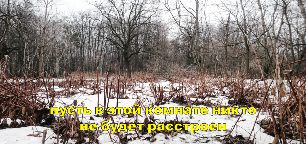 Terra Nullius. Сомнение. цим, dozado